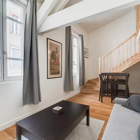 O Duplex Toulousain - Climatisation, Wifi, Netflix *